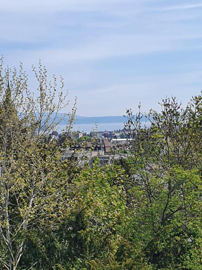 Ferienwohnung Mit Ausblick 克罗伊茨林根 外观 照片